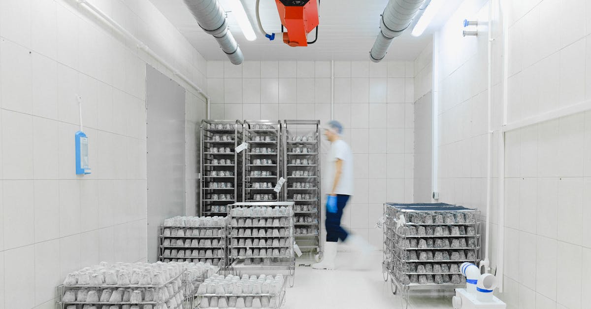 Blurred worker in a cold storage facility with shelves of perishable goods, emphasizing motion and efficiency.